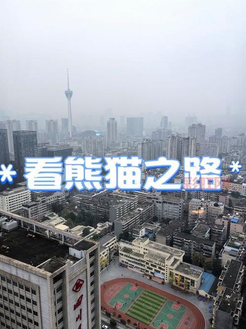 特大城市手机版哪里下载？最新安卓版下载教程！