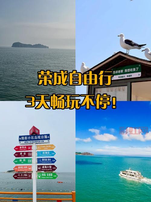 100版本女柔道加点详细教学，保姆级攻略快收藏！