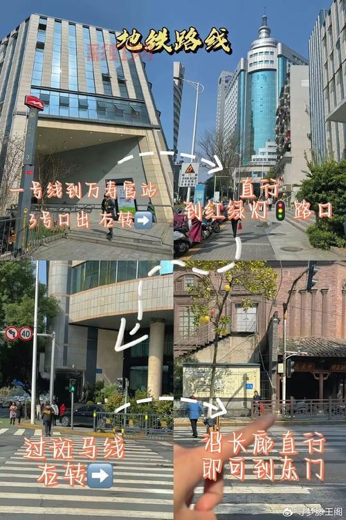 100版本女柔道加点详细教学，保姆级攻略快收藏！