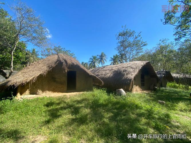 东方部落：从奴隶到部落领袖的生存与挑战