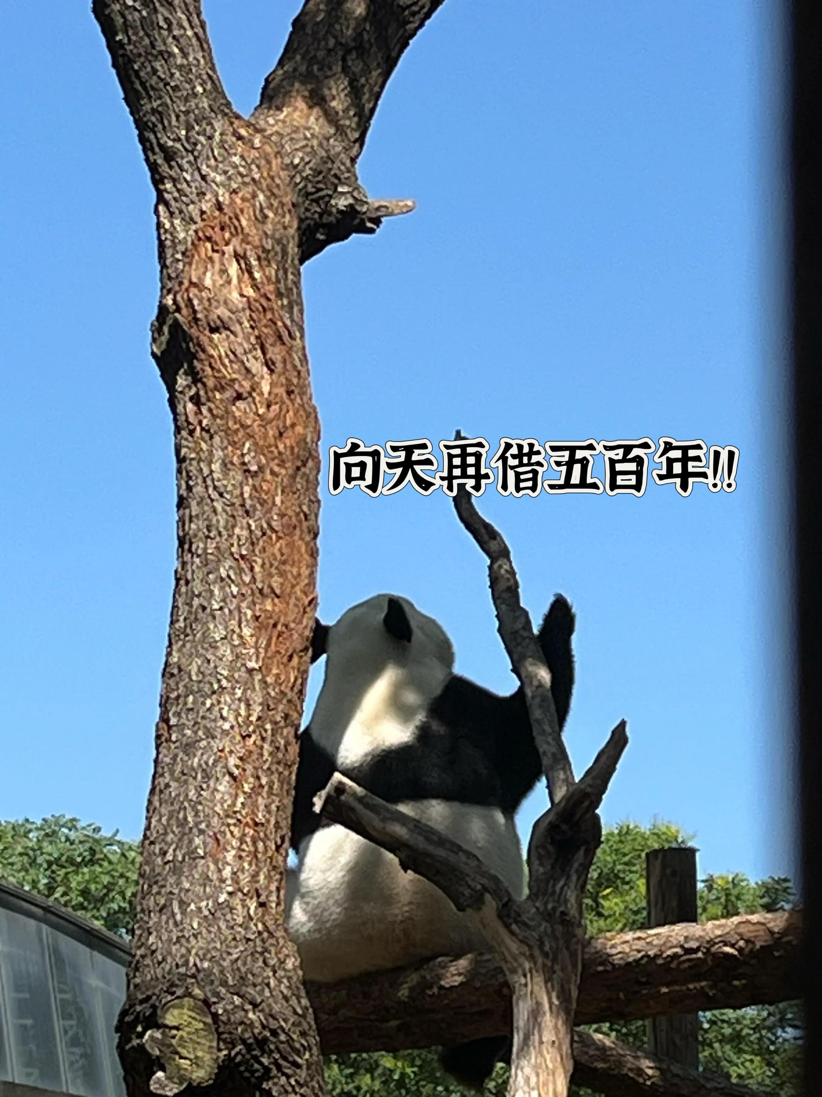 人对于时间毫无还手之力!