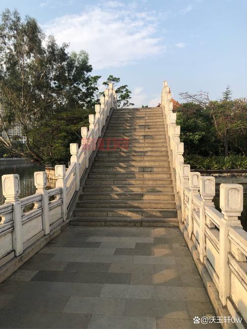 花与的祝福：春光与爱相伴，岁月如诗如画