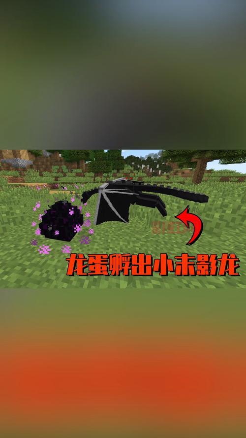 不用模组孵化末影龙可能吗？这个方法你肯定没试过！