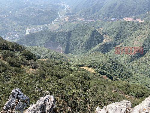 撸尔山获取秘籍：掌握最优获取方法，提升矿场产能
