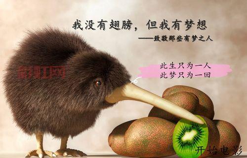 无翼鸟少全集：动人心弦的无翼鸟历程，体验一次飞翔的梦想
