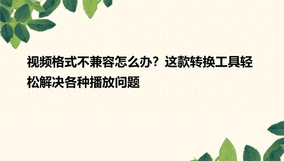 视频格式不兼容怎么办？这款转换工具轻松解决各种播放问题