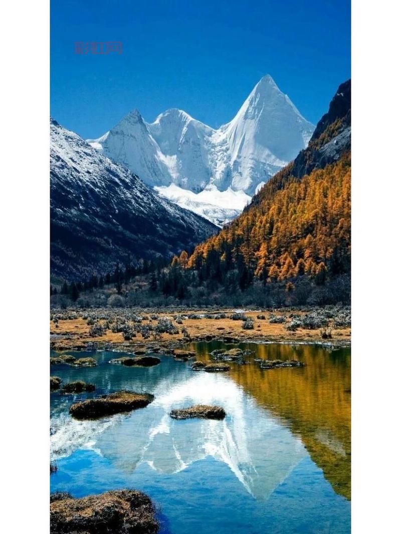 白驼山剧本挑战副本开启，组队刷本走起！