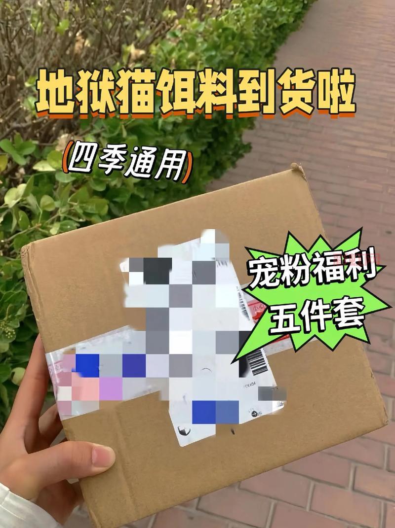 王朝霸域礼包怎么领？新手老手福利大放送