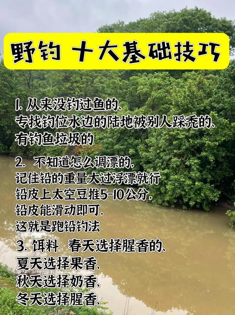 明日之后钓鱼任务新手攻略，手把手教你领鱼竿找河流