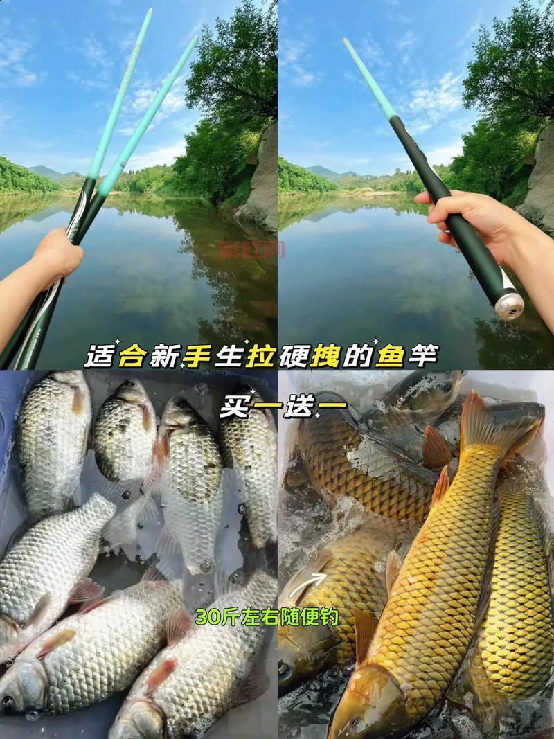 明日之后钓鱼任务新手攻略，手把手教你领鱼竿找河流