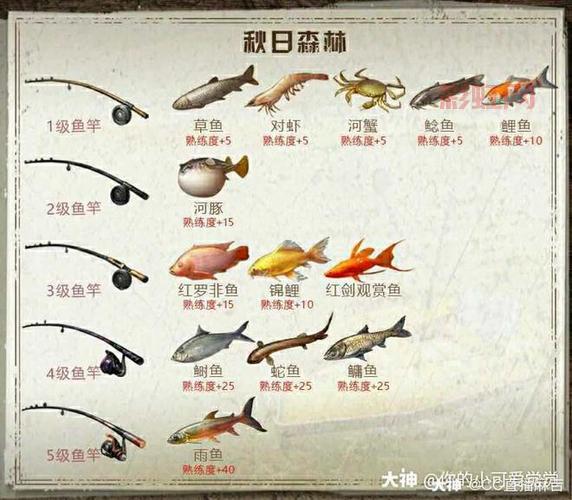明日之后钓鱼任务新手攻略，手把手教你领鱼竿找河流