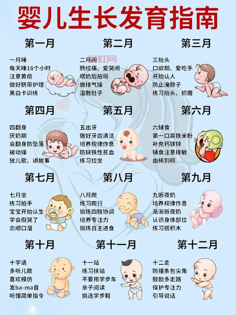 小发育全套图展示：婴儿每月发育变化及养育贴士