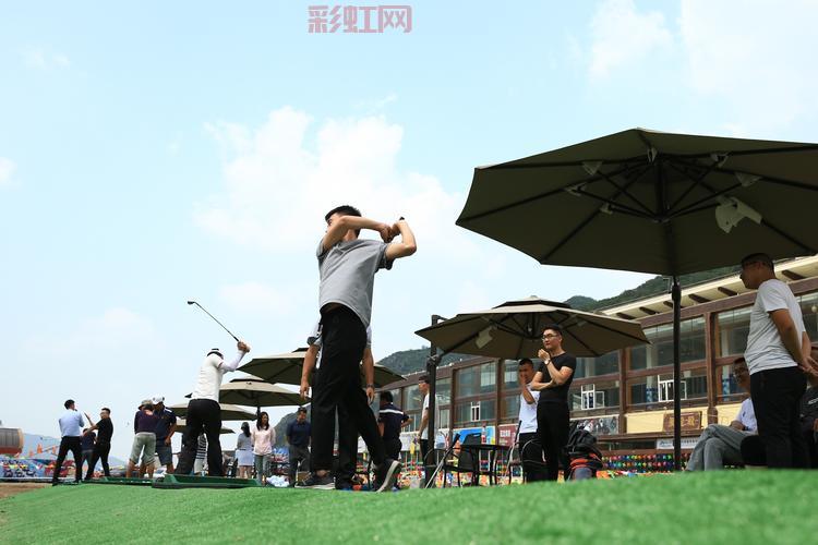 打飞碟网页游戏在线玩，免费体验经典体育项目乐趣
