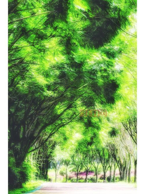 梦幻叶子：赋予生活灵感的绿色艺术