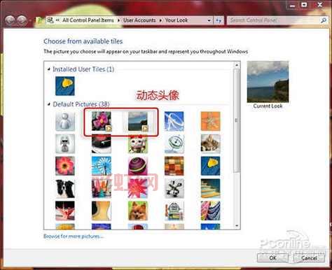找不到msn下载？这里有最新msn下载方法！