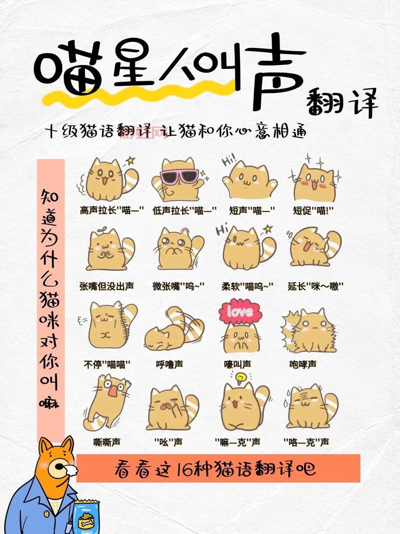 和猫咪叫声相似的动物大盘点，长见识了！