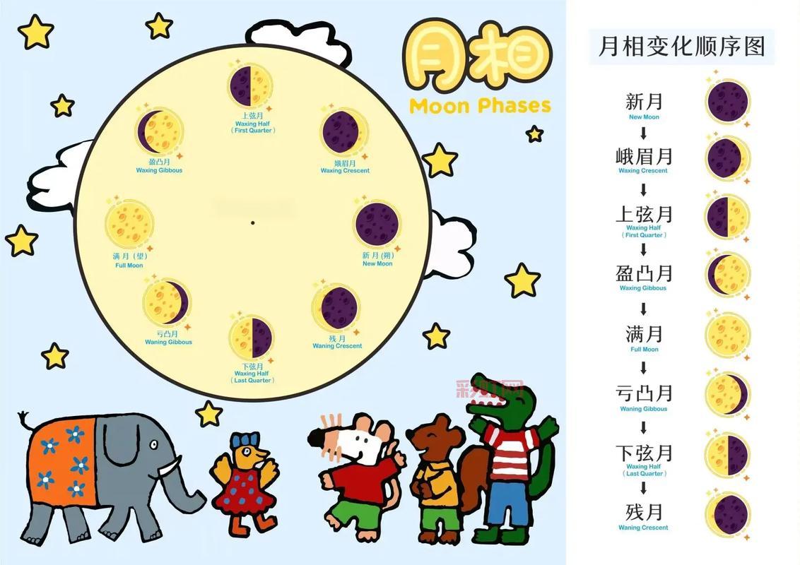 月宫贴图区在哪找？超多精美图片等你来下载！