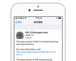 iPhone 中的描述文件是什么,有哪些用处?