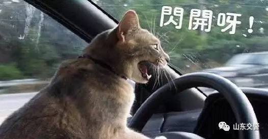 汽车上哪些功能很难发现，却很实用！