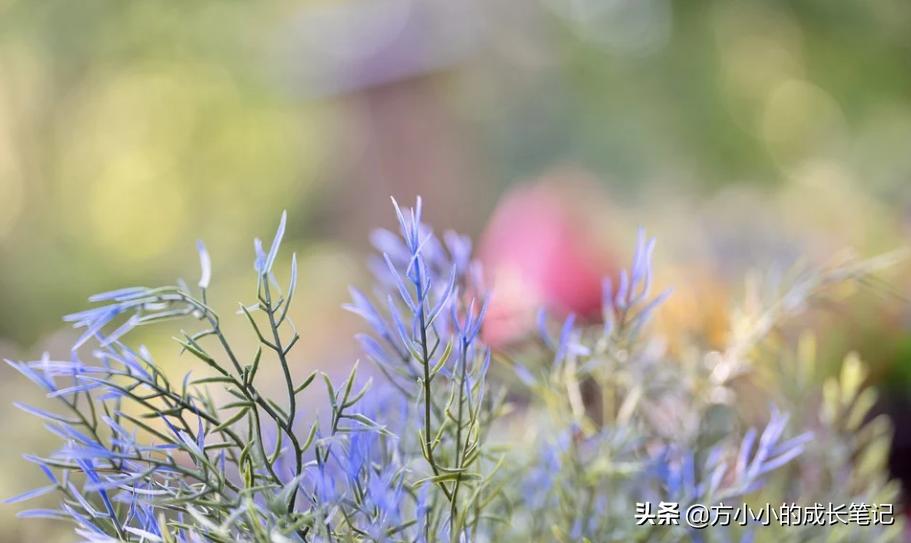 分享一个近期发现的，特别好用的个人管理app：语雀
