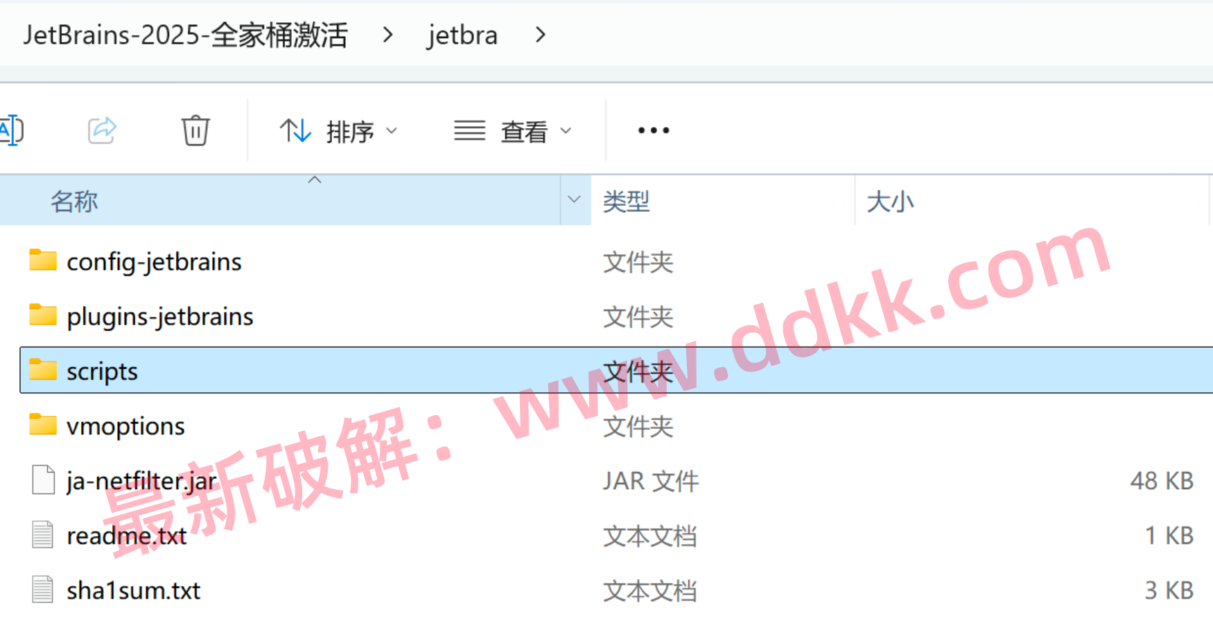 IntelliJ IDEA 2025 破解教程：完美激活，永久激活码，破解补丁全流程
