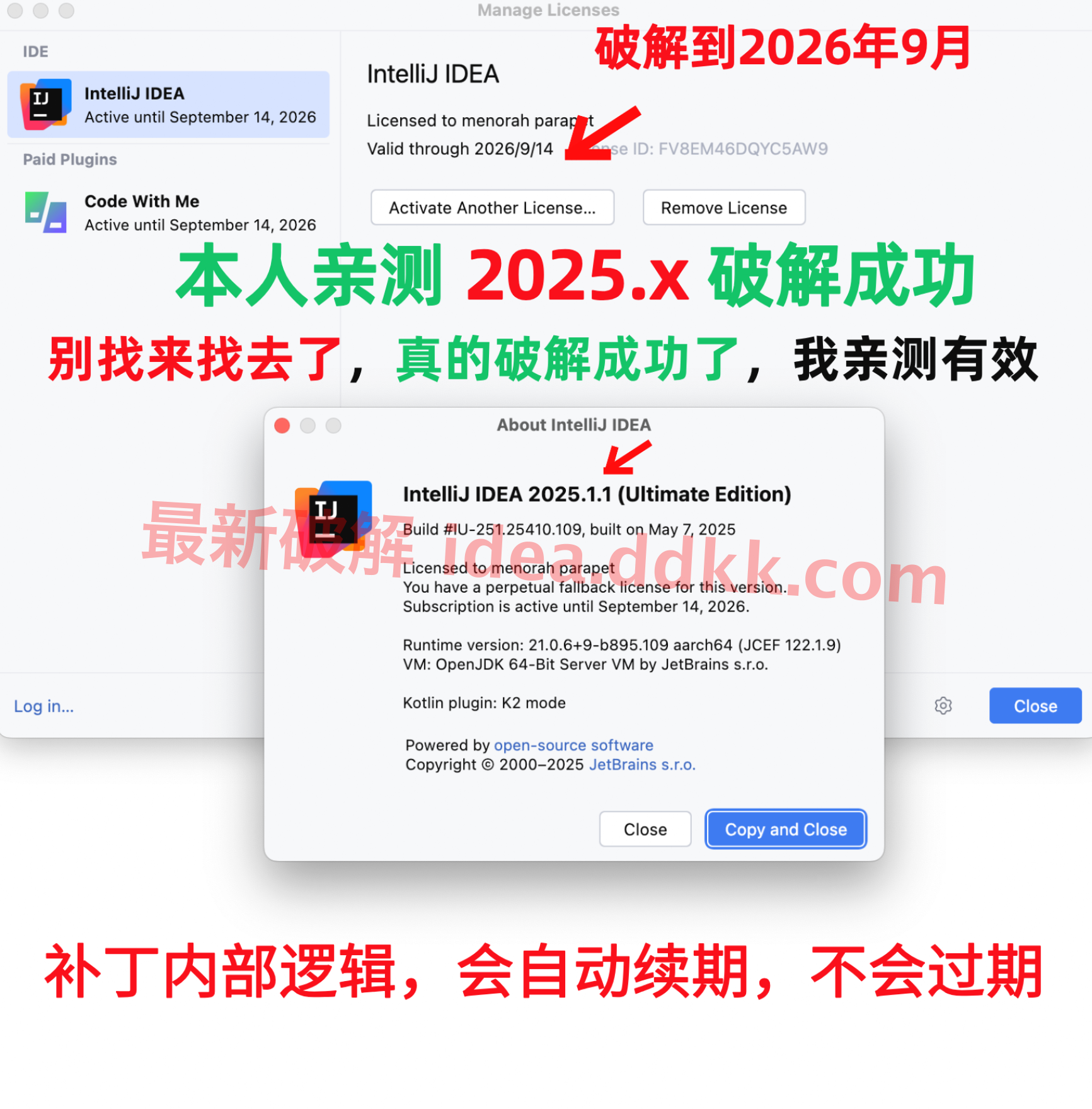 IntelliJ IDEA 2025 破解教程：完美激活，永久激活码，破解补丁全流程