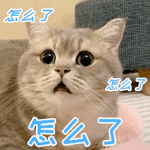 30条“猫咪小知识”，养猫的你一定要了解！