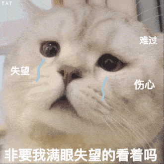 30条“猫咪小知识”，养猫的你一定要了解！