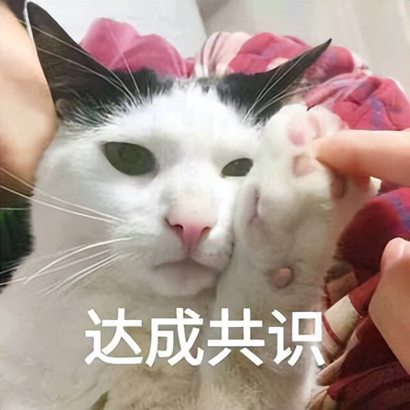 小米最良心的功能，以后可能要没了