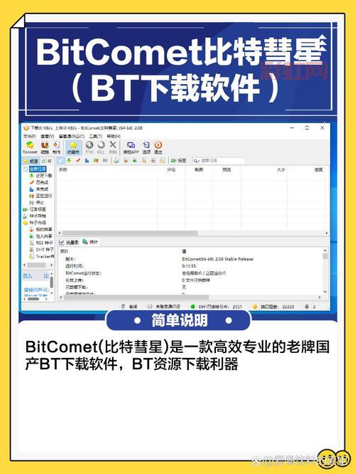 下载加速器怎么用才有效？老司机教你正确方法！