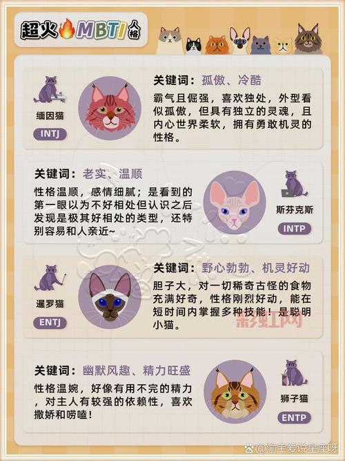 传奇4单机攻略常见问题汇总，大神为你解答所有疑惑！