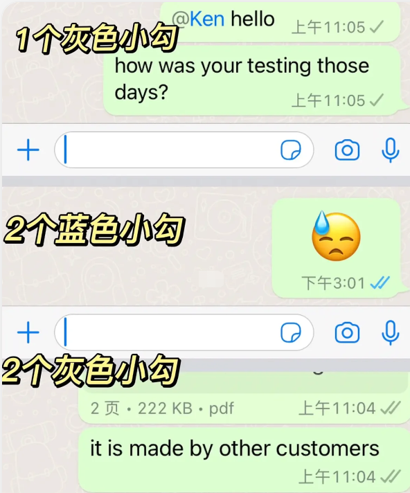 whatsapp聊天软件最新版