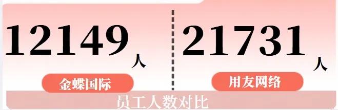 年年亏损的金蝶，继续在2024年亏下去