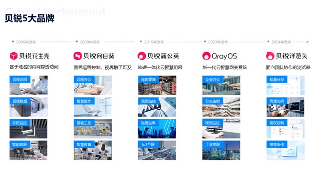 赋能新质生产力，贝锐如何布局远程连接技术的发展？