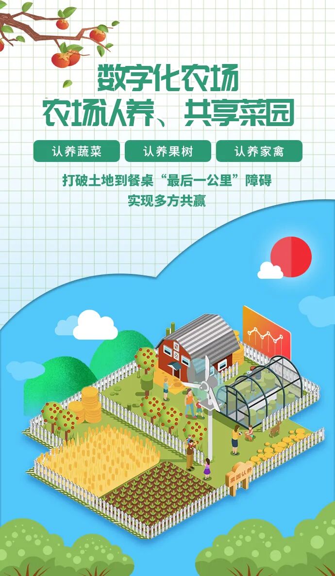 现实版“开心农场”上线！共享菜园+农场认养，实现私家田园梦!