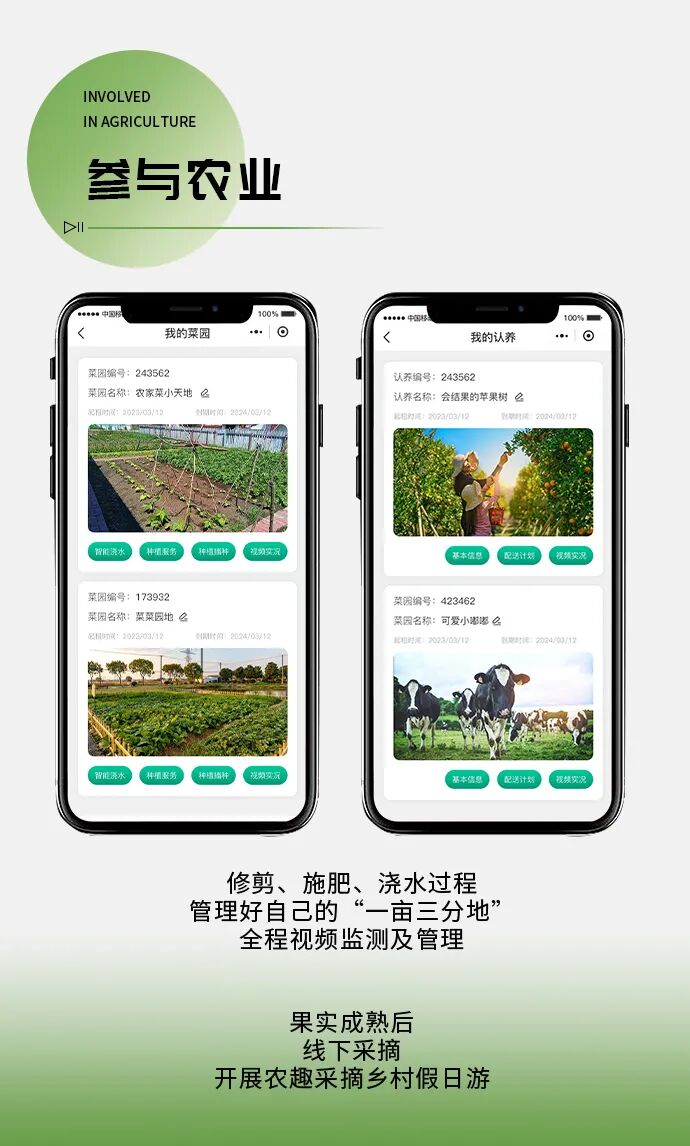 现实版“开心农场”上线！共享菜园+农场认养，实现私家田园梦!