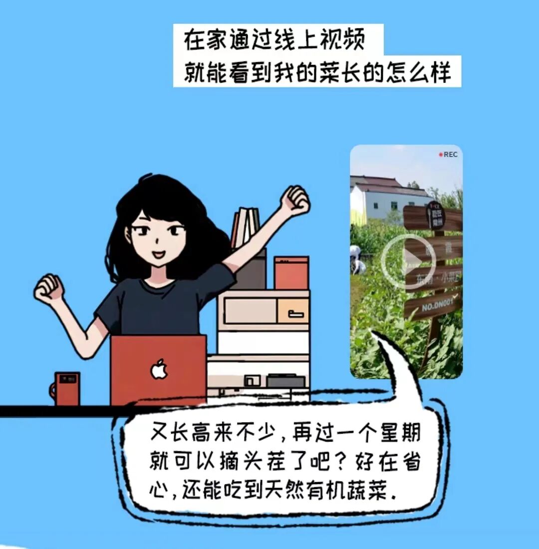 现实版“开心农场”上线！共享菜园+农场认养，实现私家田园梦!