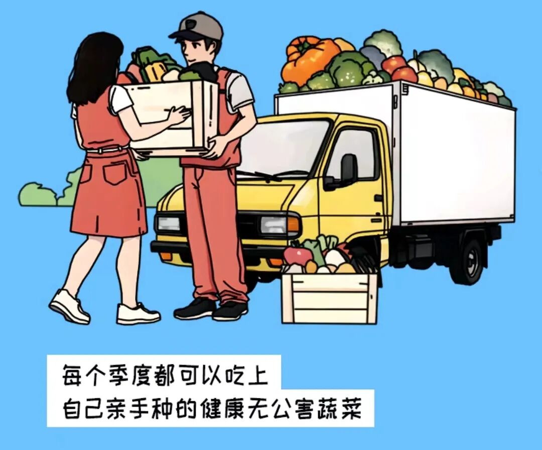 现实版“开心农场”上线！共享菜园+农场认养，实现私家田园梦!