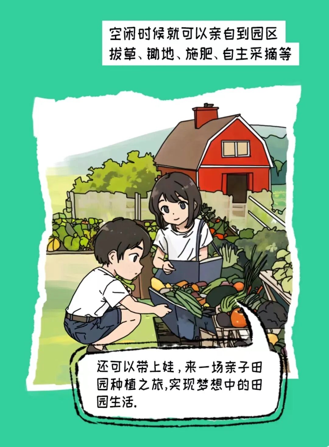 现实版“开心农场”上线！共享菜园+农场认养，实现私家田园梦!