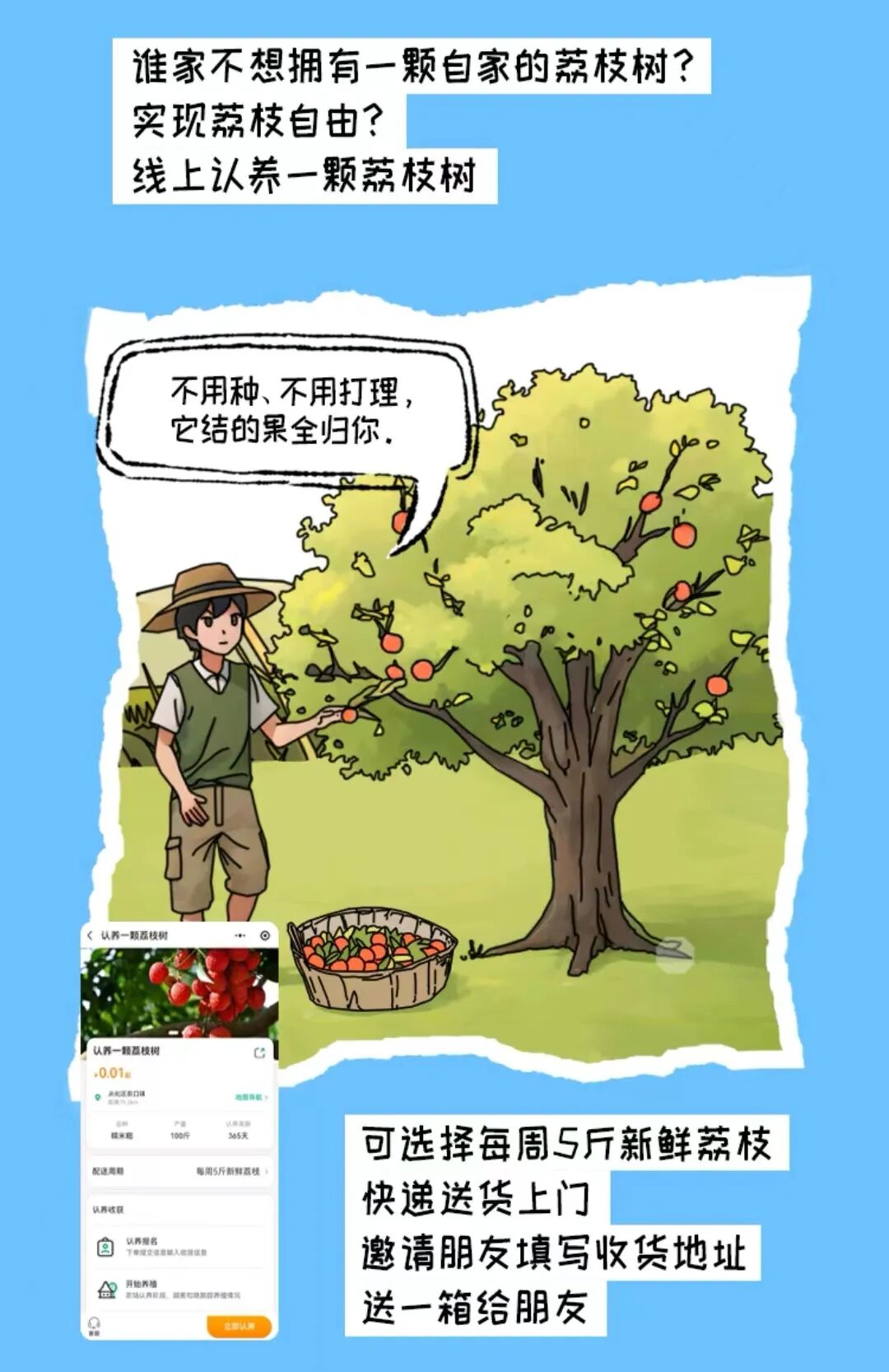 现实版“开心农场”上线！共享菜园+农场认养，实现私家田园梦!