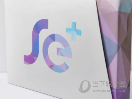 新中大se+企业管理软件