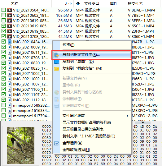 相机照片恢复软件哪个好？照片恢复软件推荐