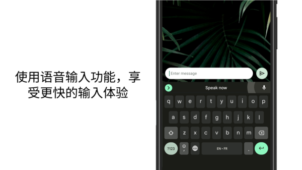 安卓版下载