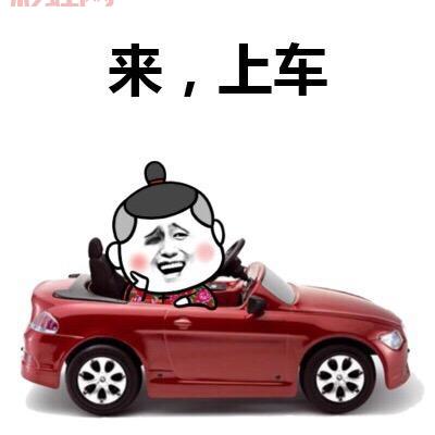 电车之狼迅雷下载资源分享，老司机带你上车！
