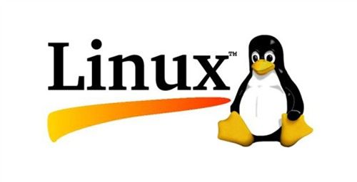 Linux系统文本控制台怎么总是出现乱码