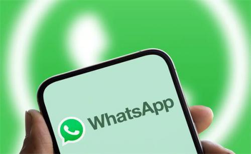 WhatsApp聊天软件