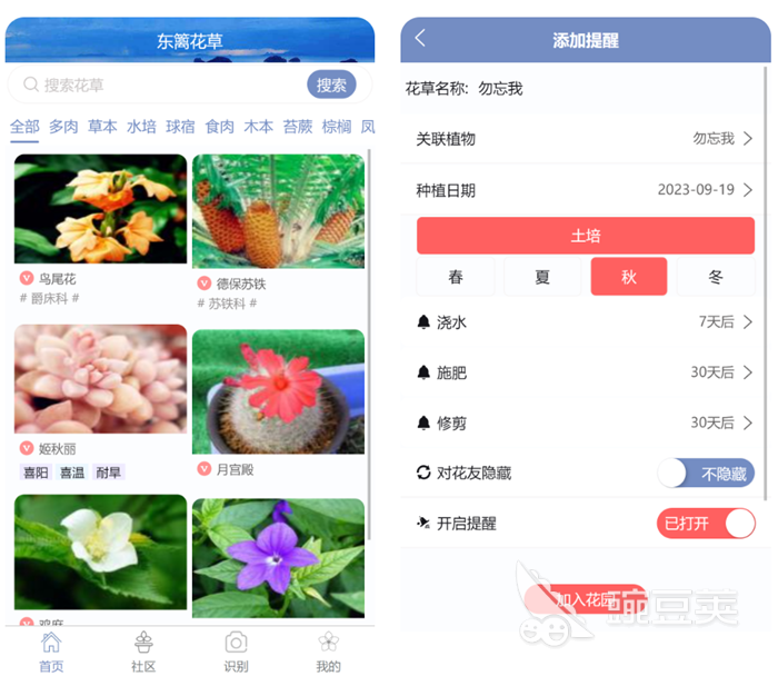 扫植物识别软件哪个好 识别植物名称的软件排行榜
