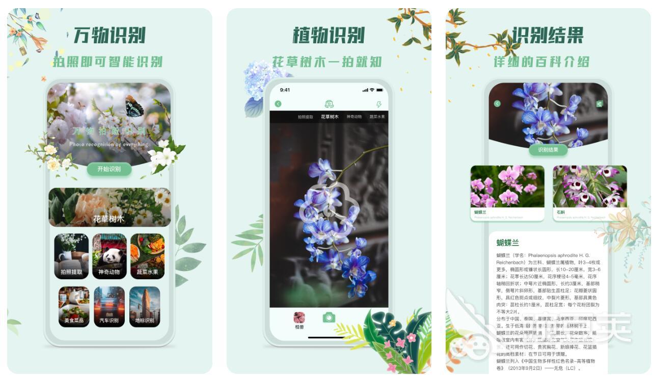 识别植物的软件合集 热门植物识别app排行榜