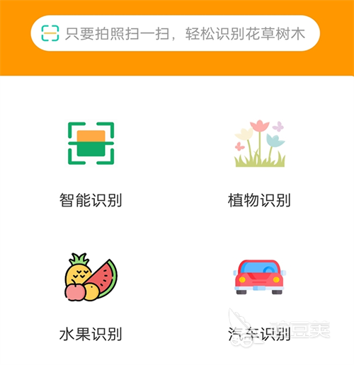 识别植物最准确的软件有哪些 热门的植物识别APP合集