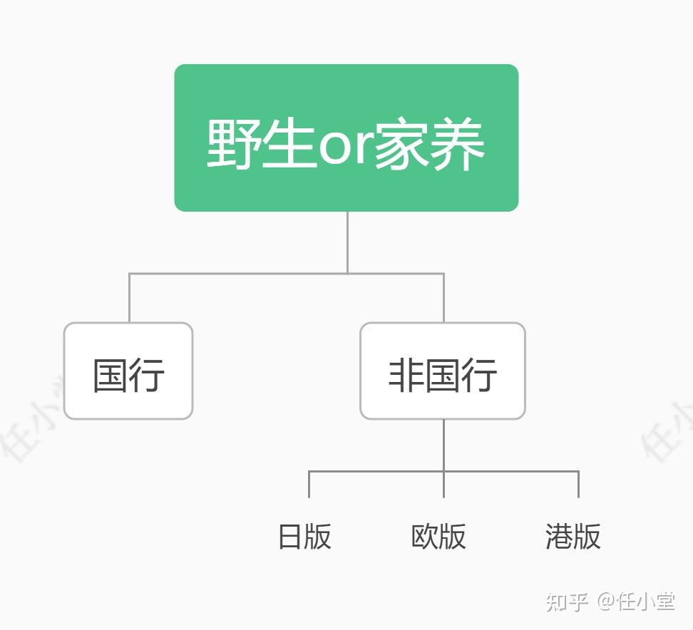 看完还懵来打我—Switch选购全攻略！